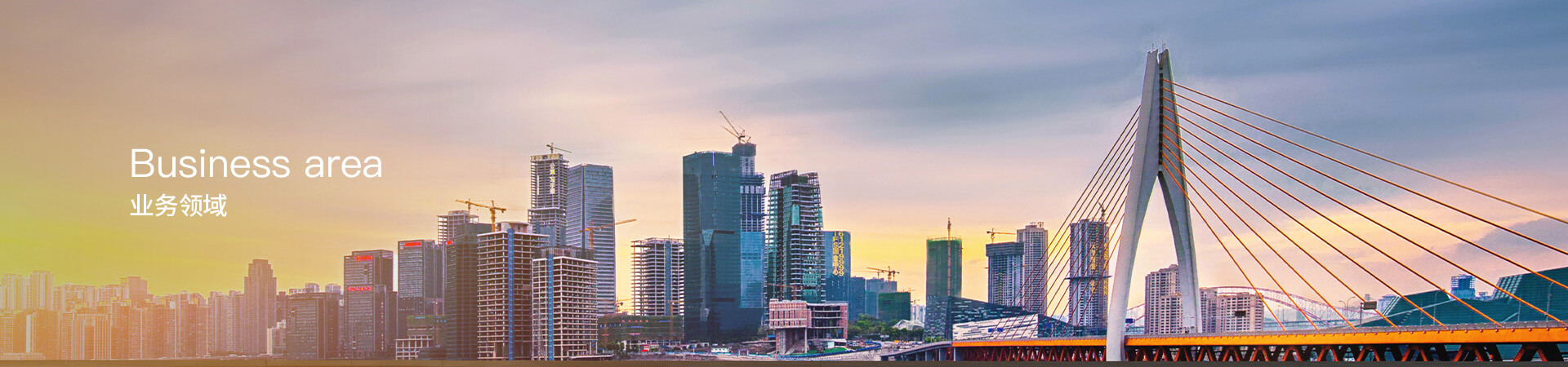 业务领域
